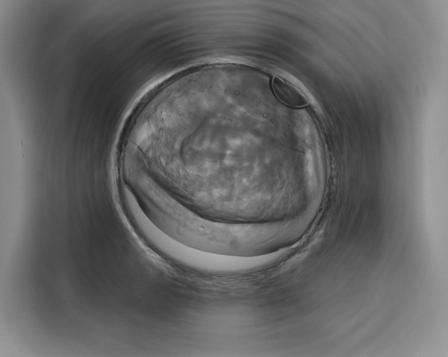 X0000115091133200911241208