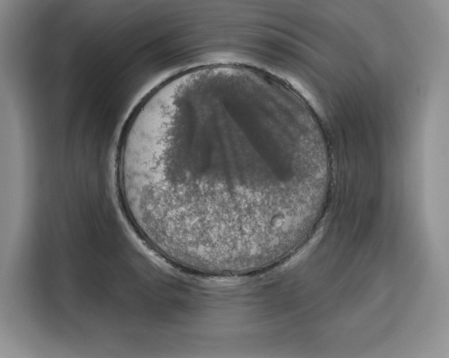 X0000115091134200911241208