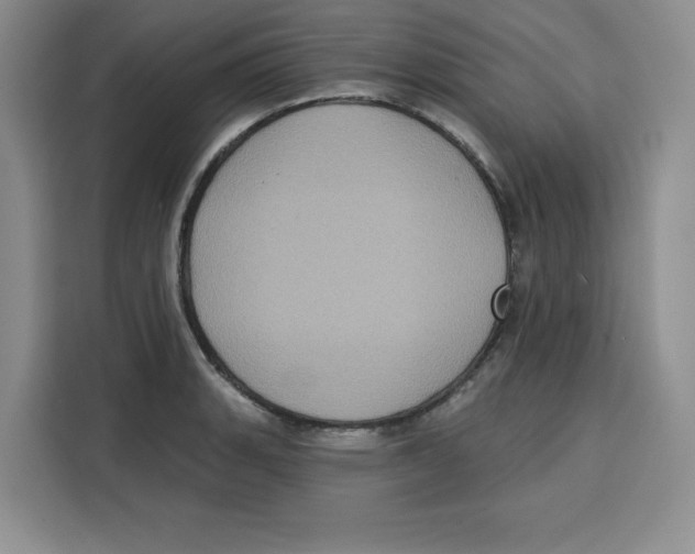 X0000115091135200911241208