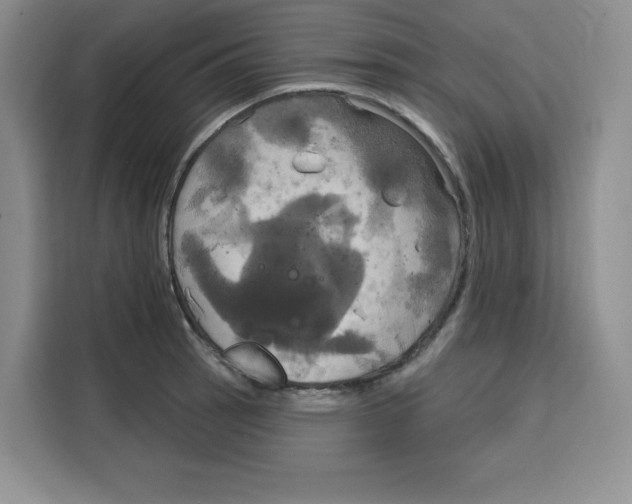 X0000115091137200911241208