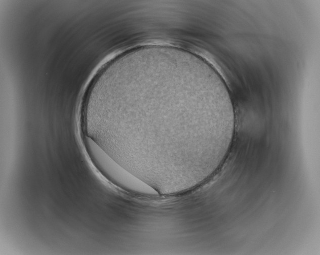 X0000115091139200911241208
