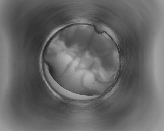 X0000115091141200911241208