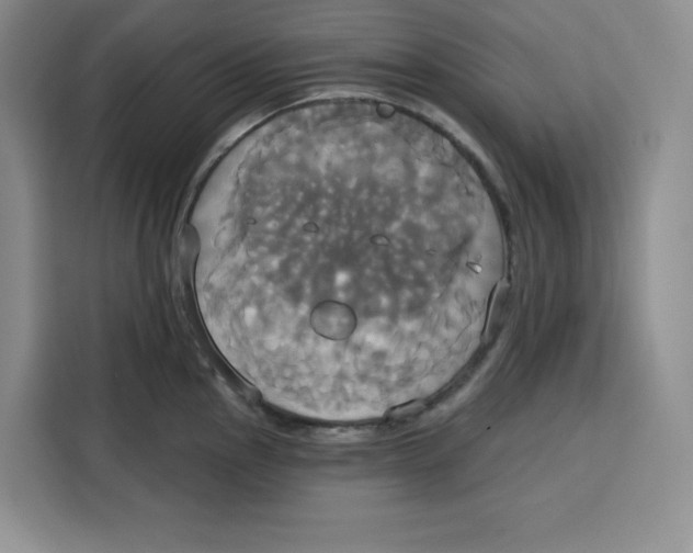 X0000115091145200911241208