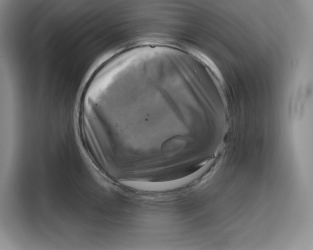 X0000115091146200911241208