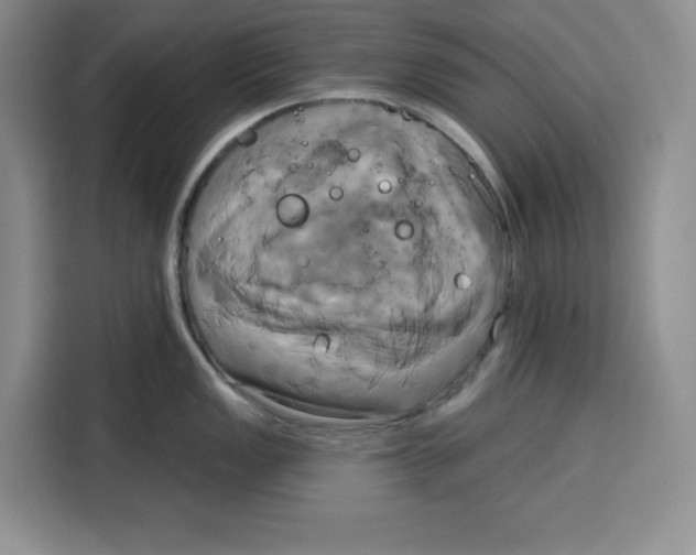 X0000115091149200911241208