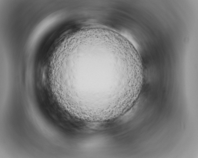 X0000115091150200911241208