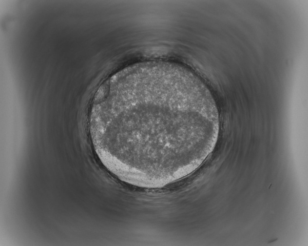 X0000115091153200911241208