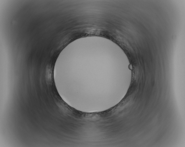 X0000115091154200911241208