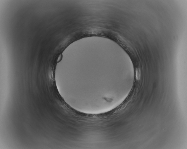 X0000115091155200911241208