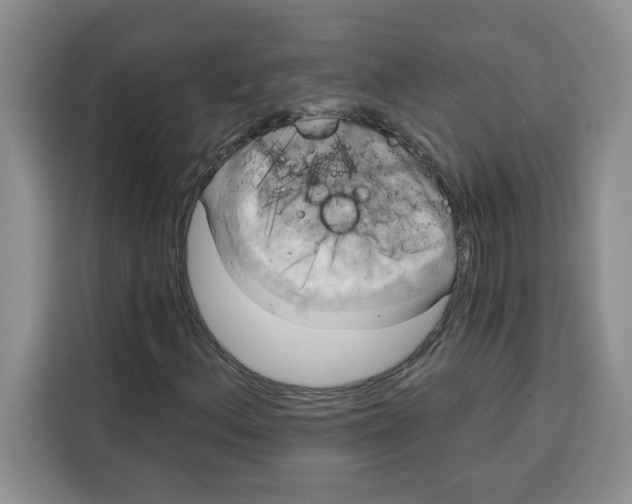 X0000115091156200911241208