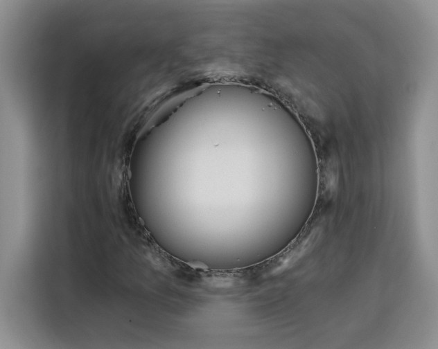 X0000115091157200911241208