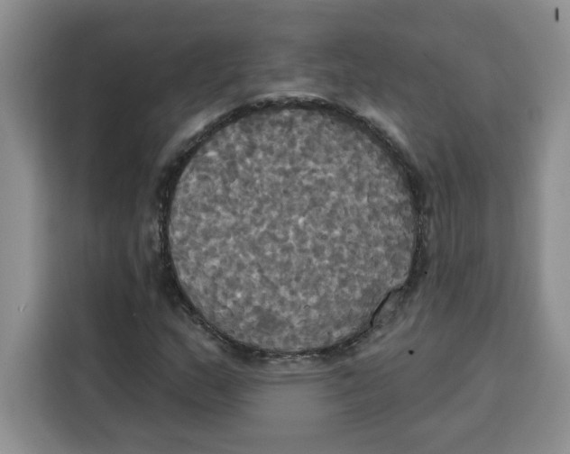 X0000115091159200911241207