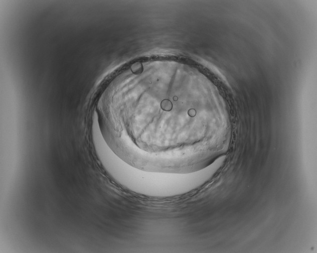 X0000115091160200911241207