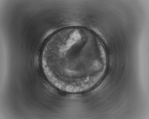X0000115091163200911241207