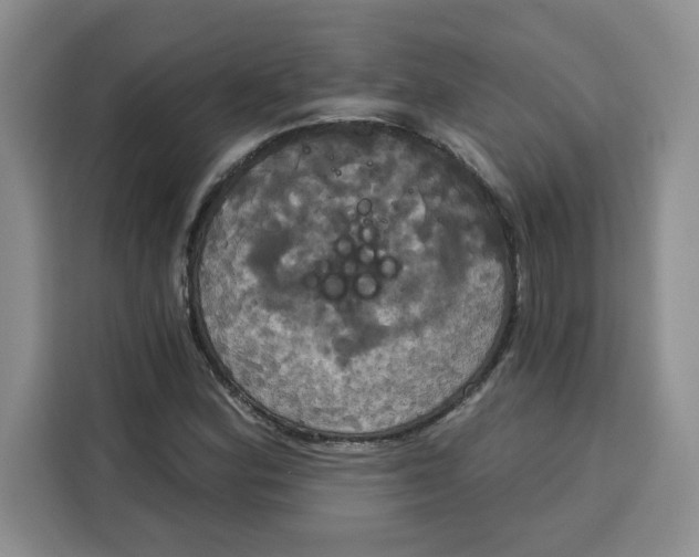 X0000115091164200911241207