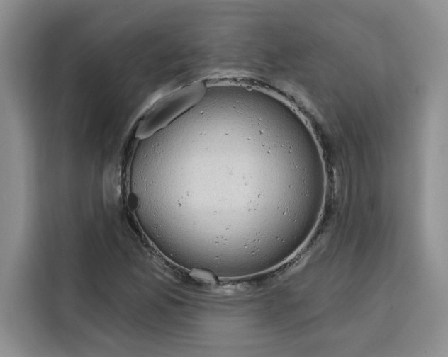 X0000115091165200911241207