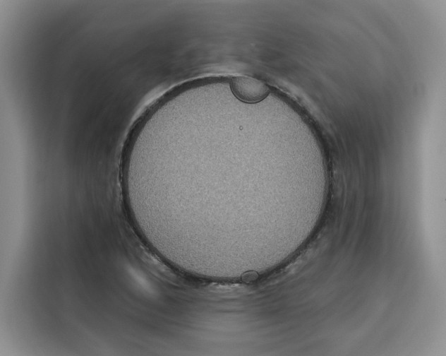 X0000115091168200911241207