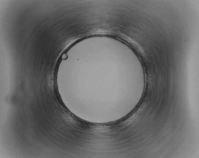 X0000115091170200911241207