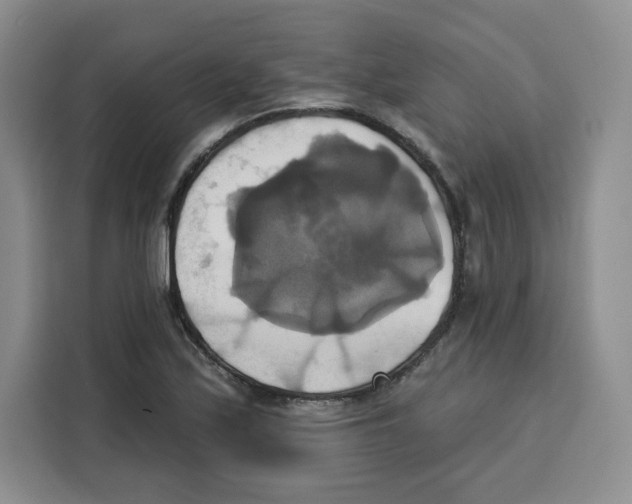X0000115091171200911241207