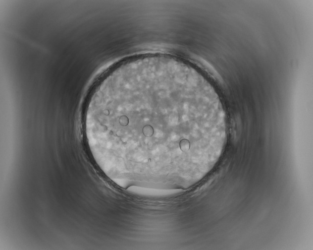 X0000115091172200911241207