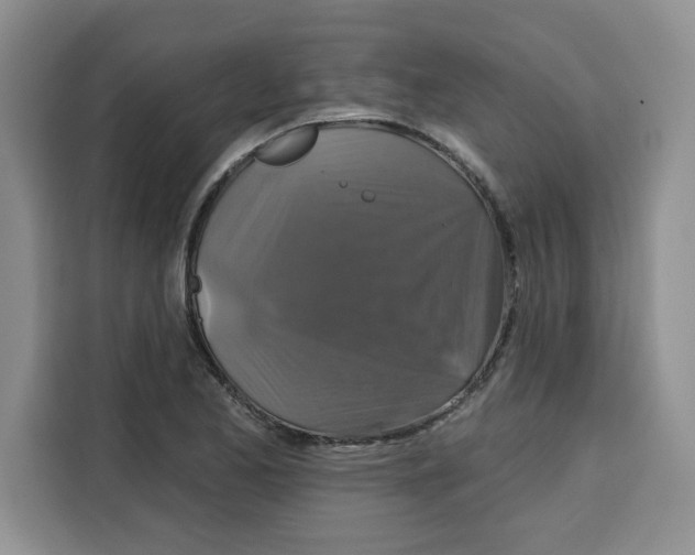 X0000115091173200911241207