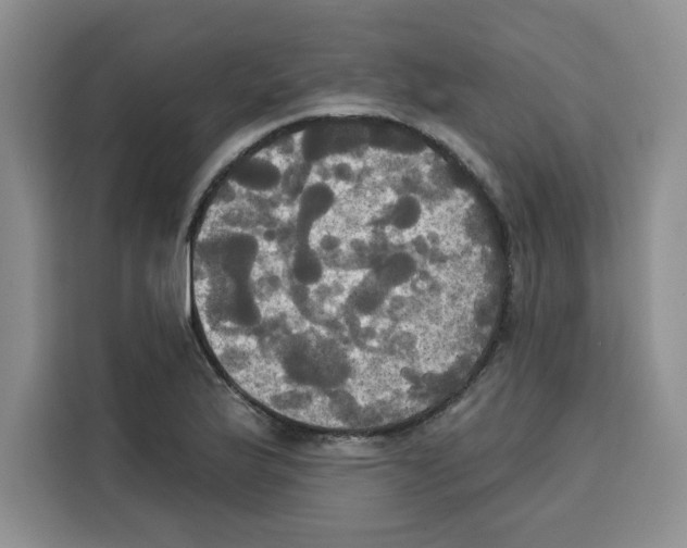 X0000115091175200911241207