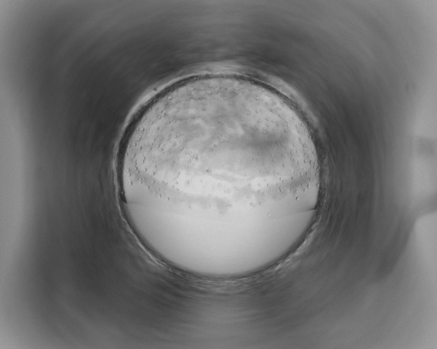 X0000115091176200911241207