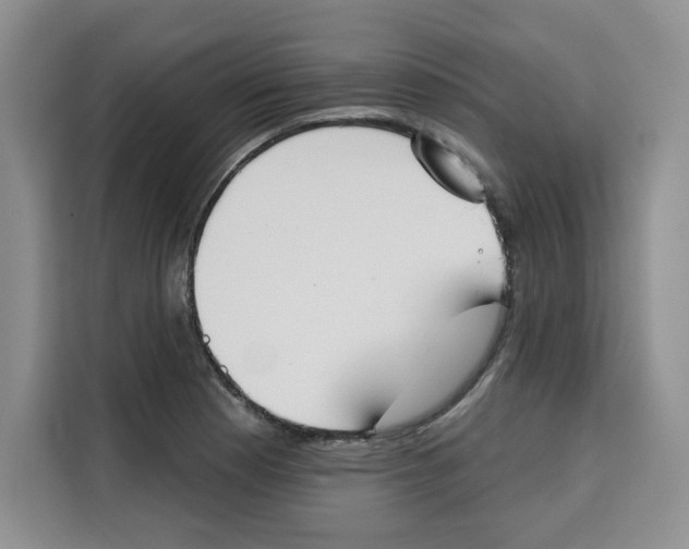 X0000115091177200911241207