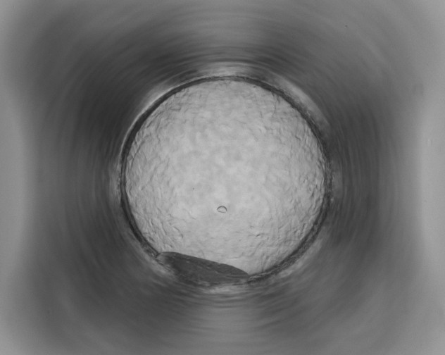 X0000115091178200911241207