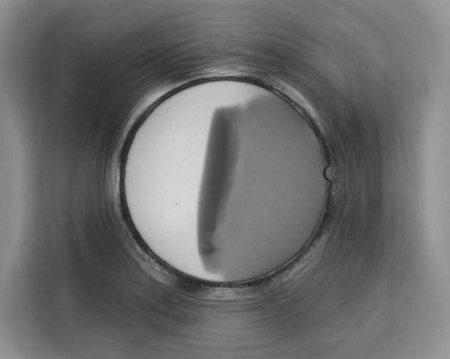 X0000115091179200911241207