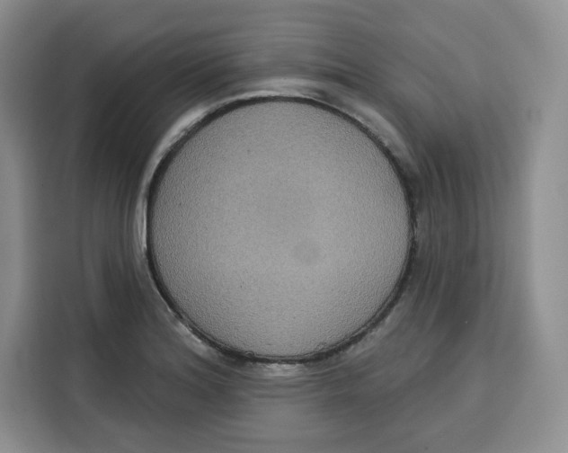 X0000115091180200911241207