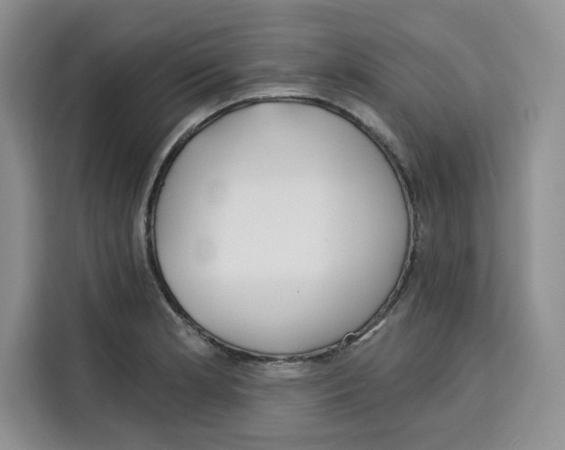X0000115091181200911241207
