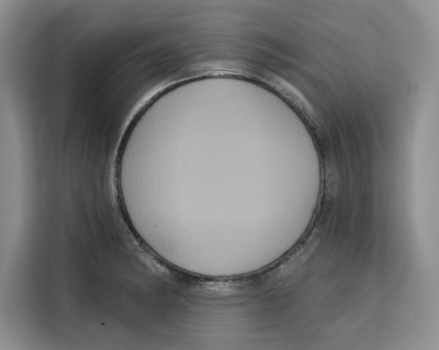X0000115091182200911241207