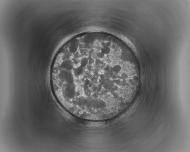 X0000115091183200911241207