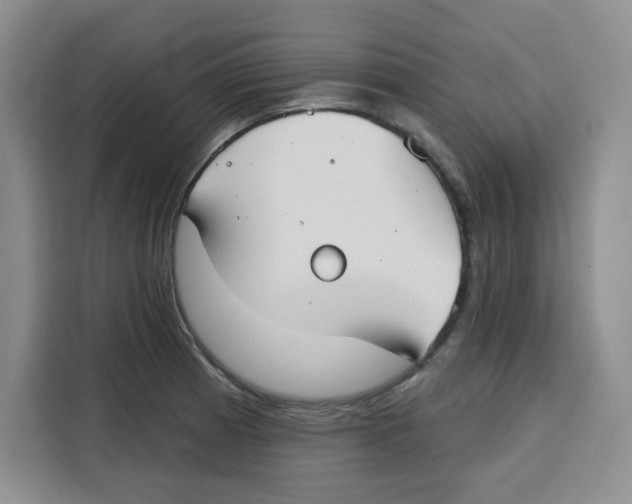 X0000115091185200911241207