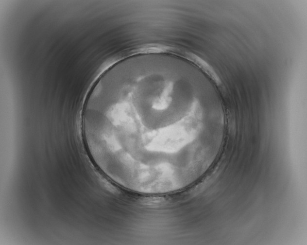 X0000115091186200911241207