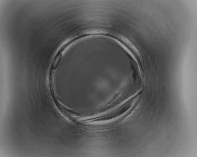 X0000115091189200911241207