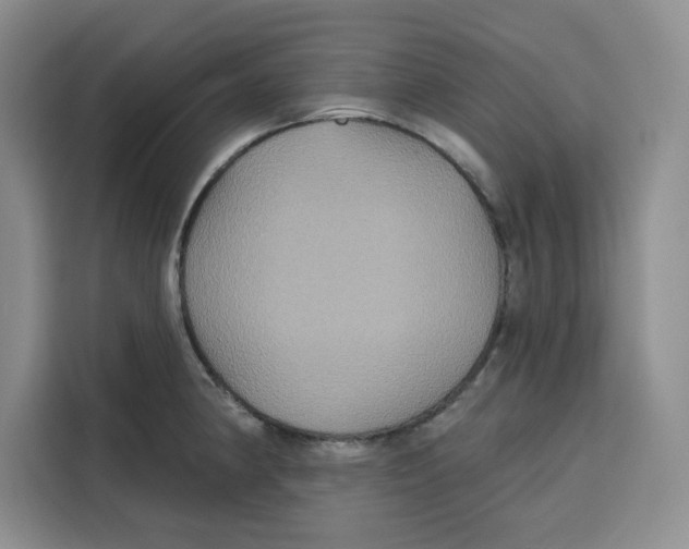 X0000115091190200911241207