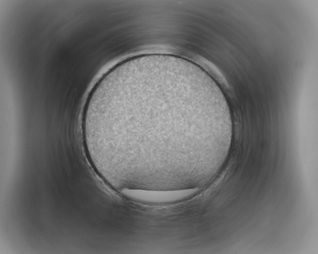 X0000115091192200911241207