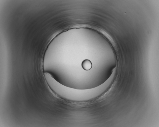 X0000115091193200911241207