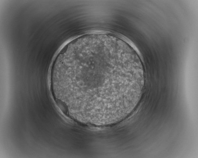 X0000115091195200911241207