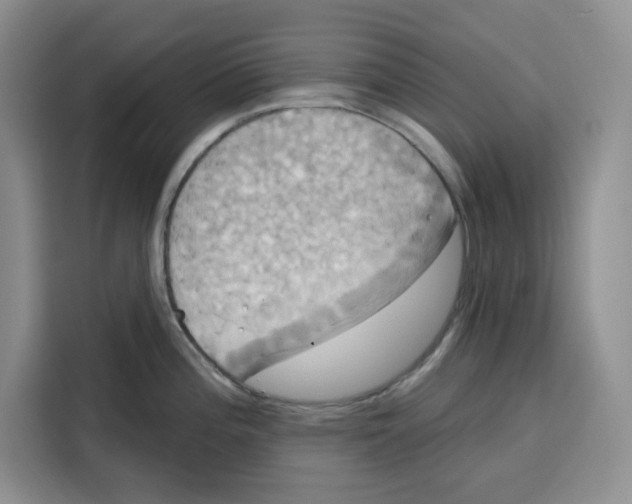 X0000115091196200911241207