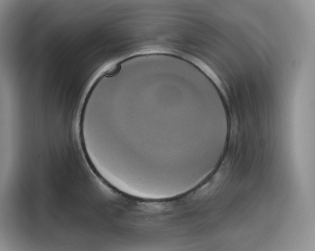 X0000115091197200911241207