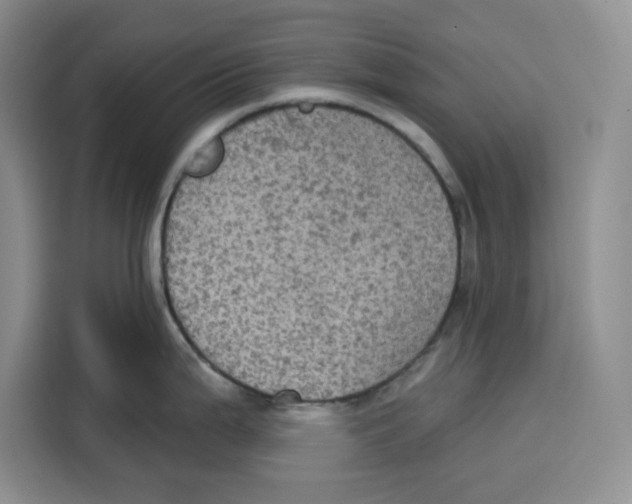 X0000115091199200911241207