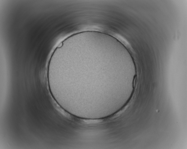 X0000115091200200911241207
