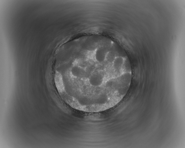 X0000115091201200911241206