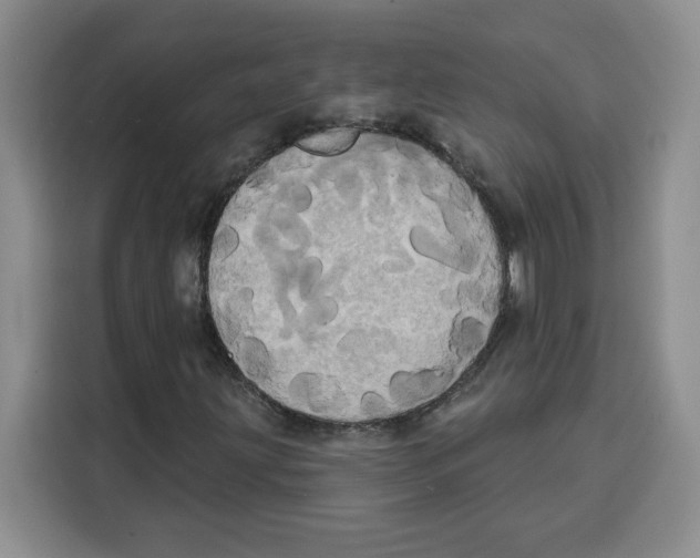 X0000115091203200911241206