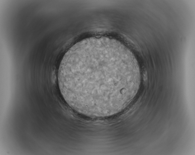 X0000115091204200911241206