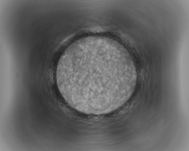 X0000115091205200911241206