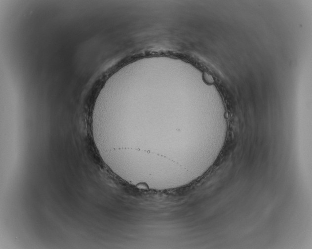 X0000115091207200911241206